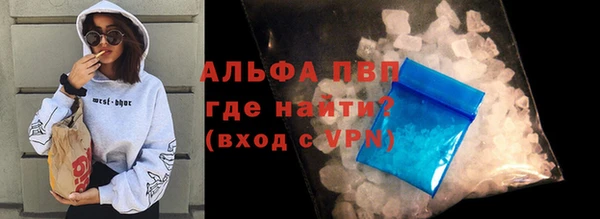 гидра Алексин