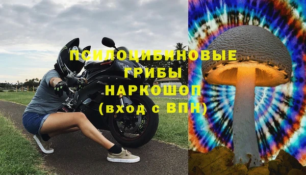 a pvp Абинск