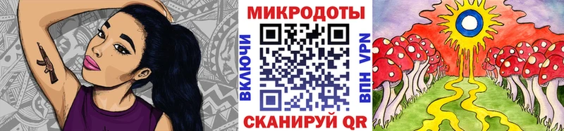 Галлюциногенные грибы Psilocybe сколько стоит Барнаул